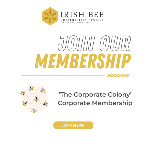 The Corporate Colony – Corporate Membership