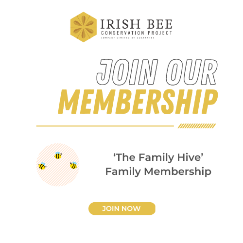 The Family Hive – Family Membership