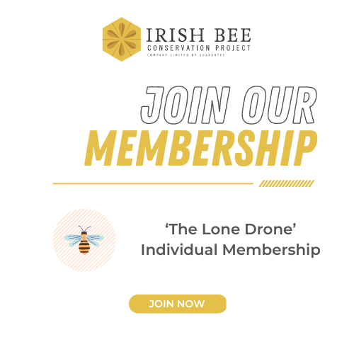 The Lone Drone – Individual Membership